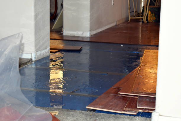 Professional Basement Flood Cleanup technician working in Tuckahoe, VA